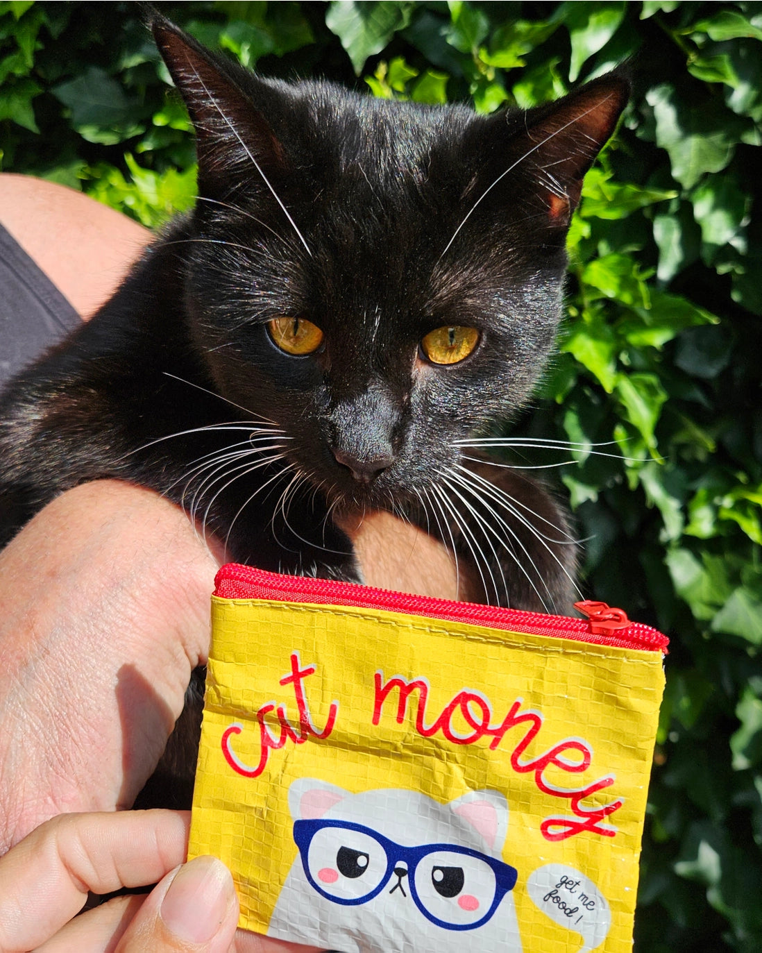MINI WALLET- CAT MONEY