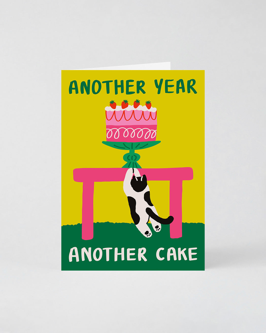 REDY CARD- ANOTHER CAKE ANOTHER YEAR