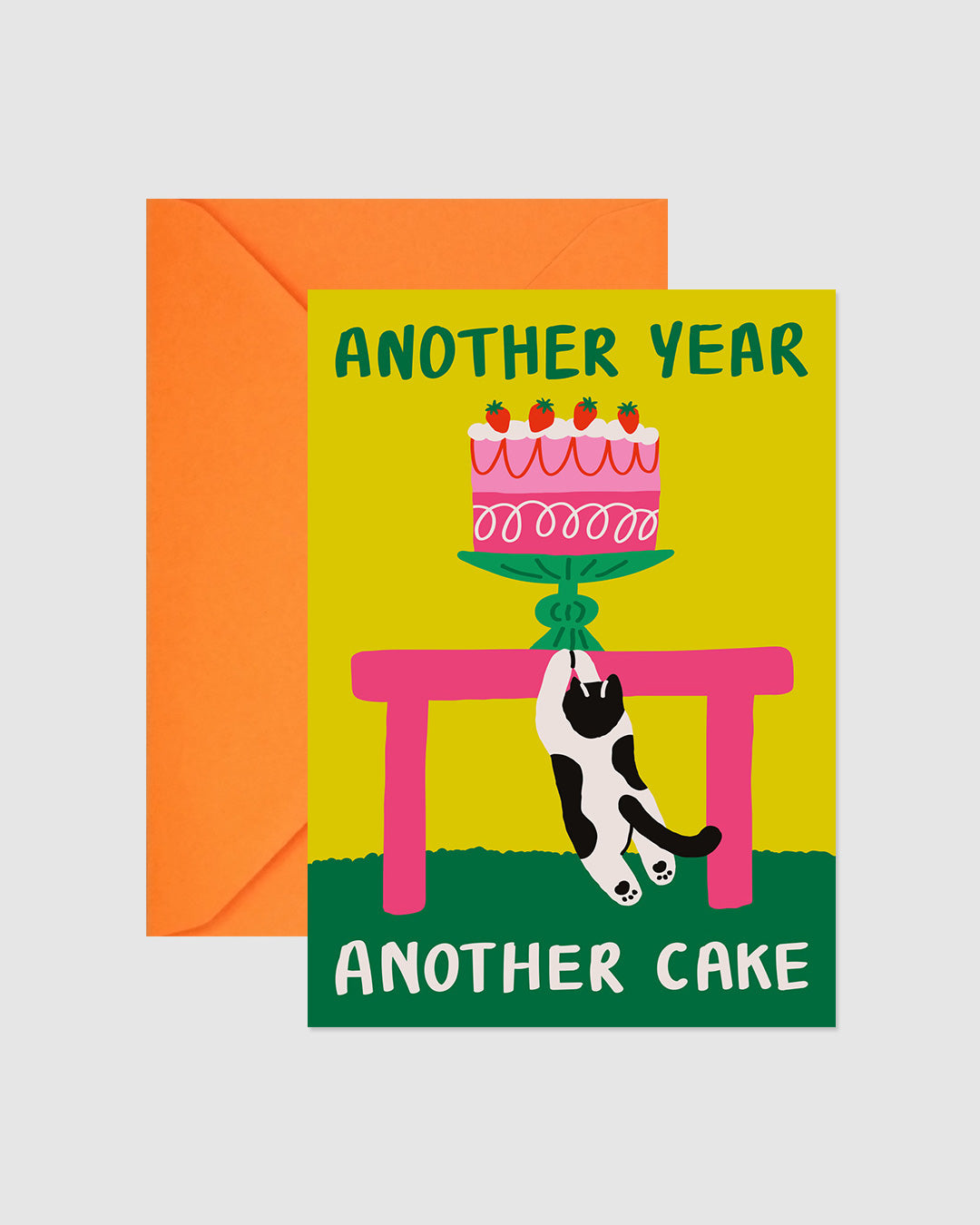 REDY CARD- ANOTHER CAKE ANOTHER YEAR