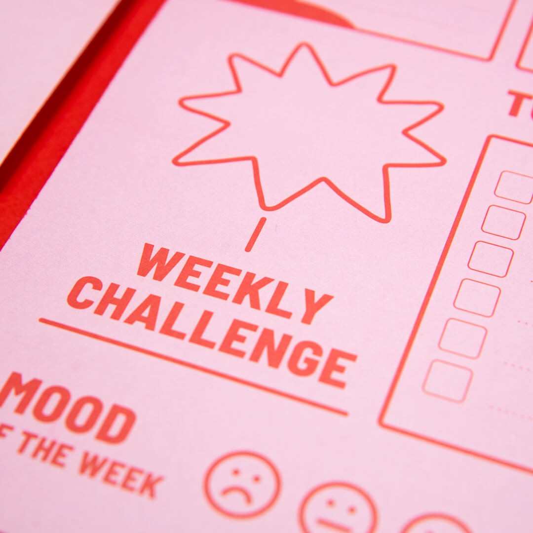 REDY PLANNER- PLAYGROUND PINK RED