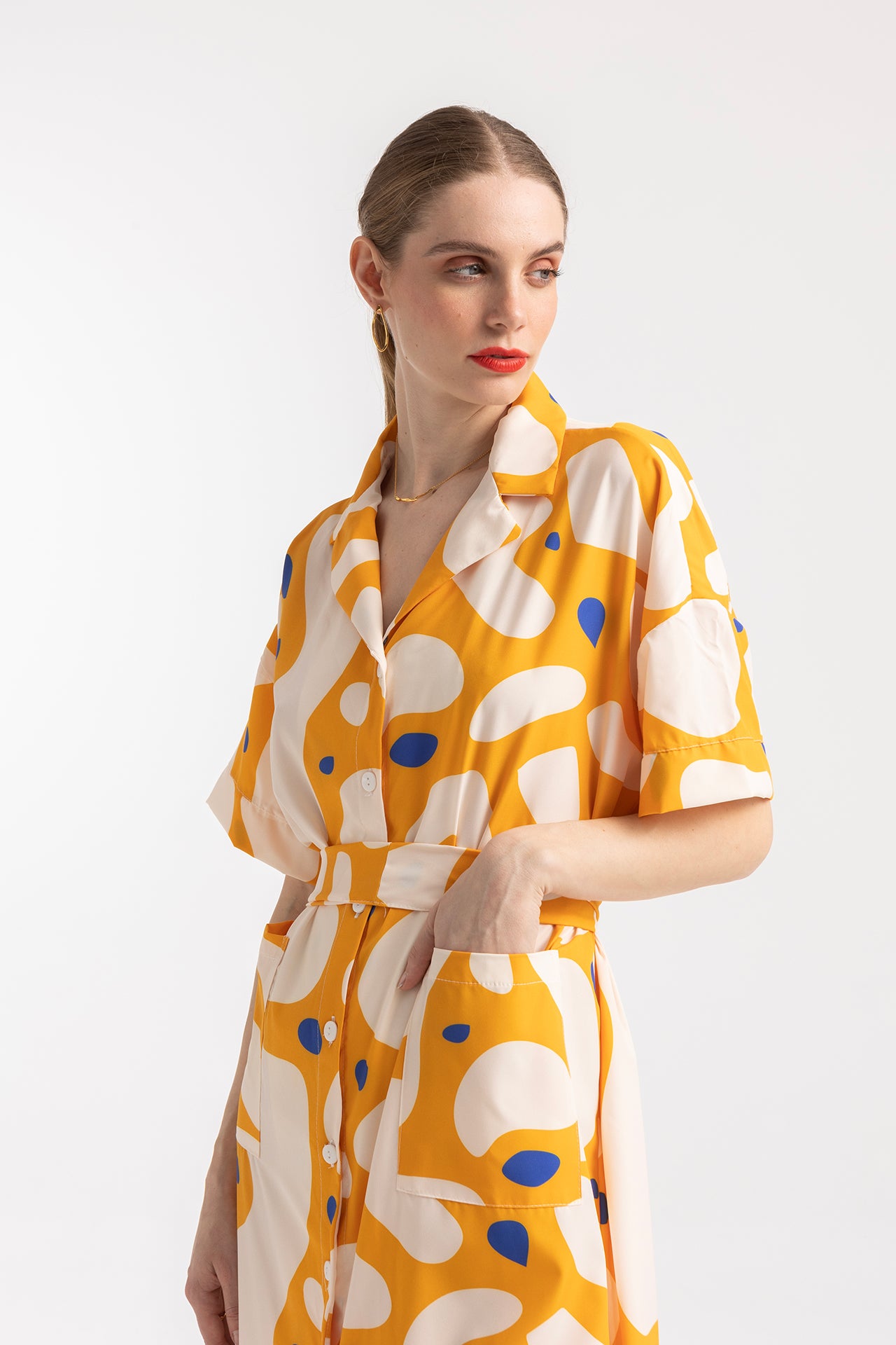 DRESS PRIVATE WITH REVERE COLLAR- BLOBS